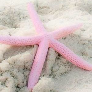 Meet your Posher, Cathy